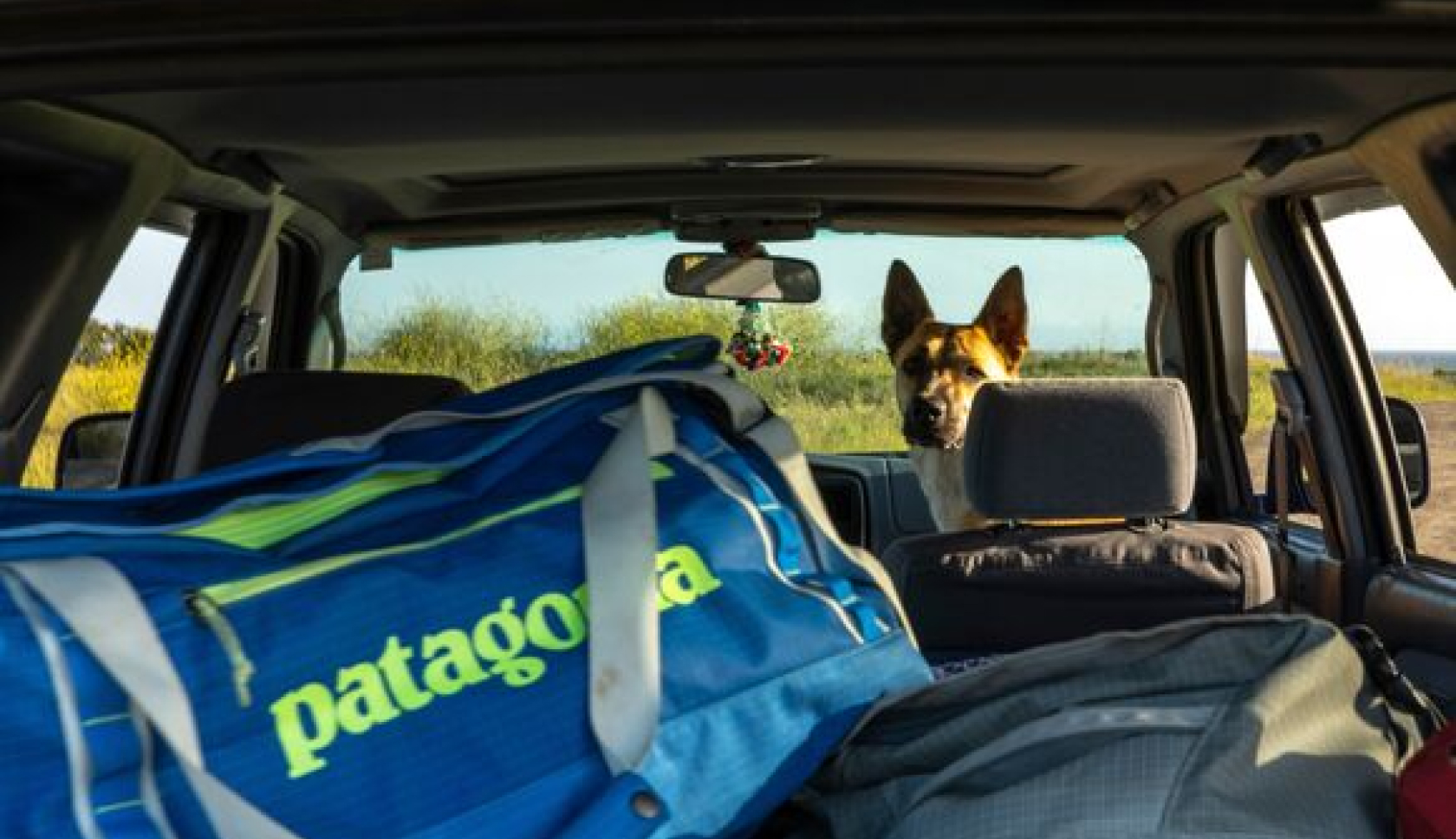 An image of a Patagonia duffel bag in the back of a car 