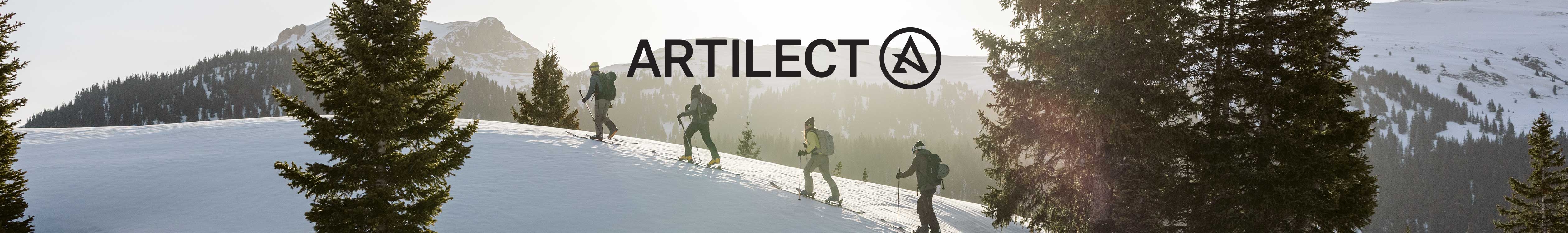 Artilect header 