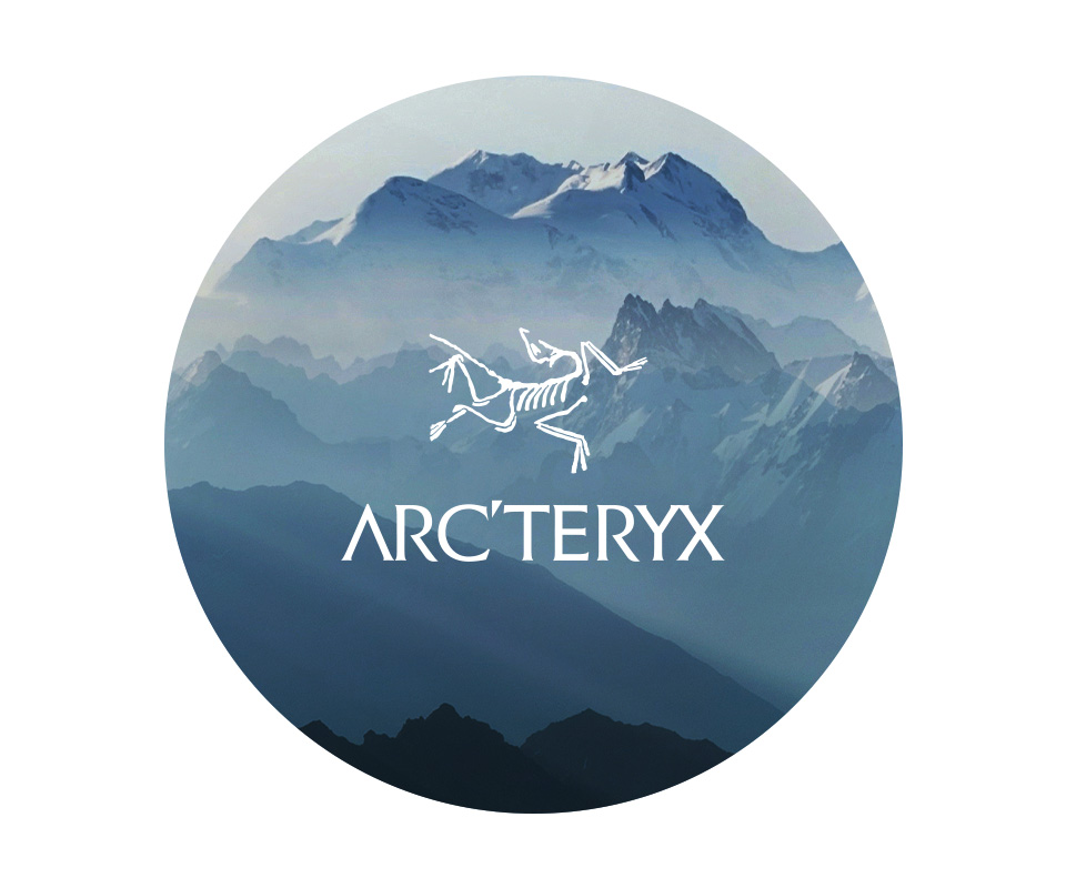 Arcterix logo