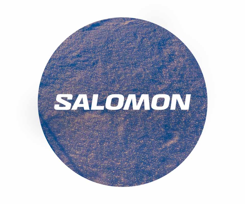 Salmon logo
