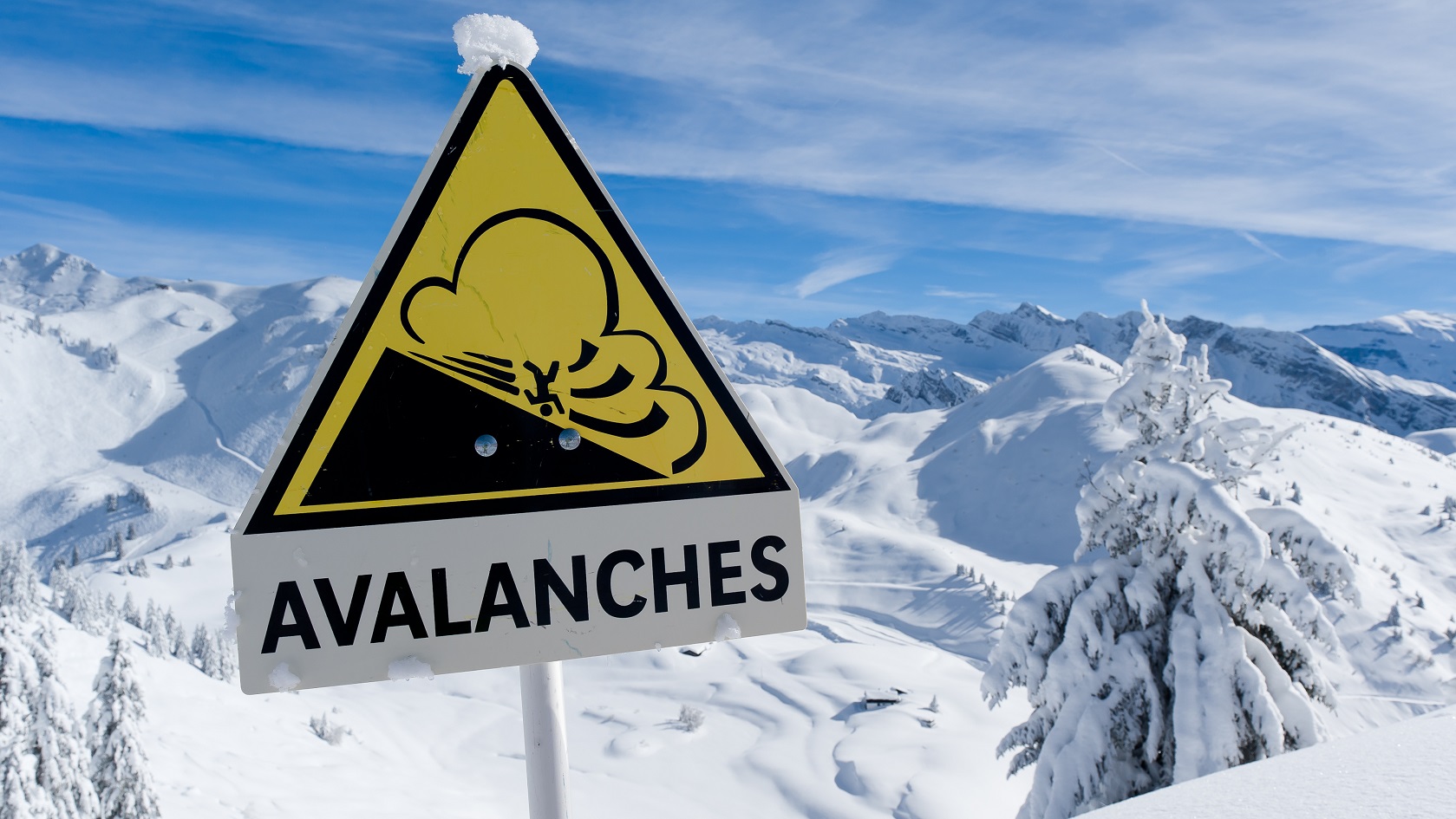 Avalanches Sign