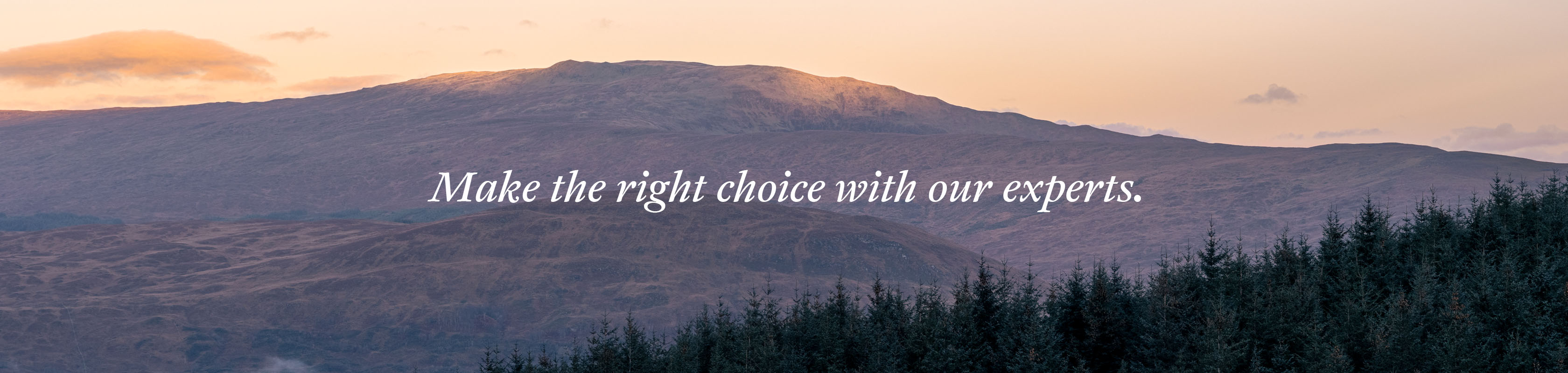 Make the right choice with our experts. 