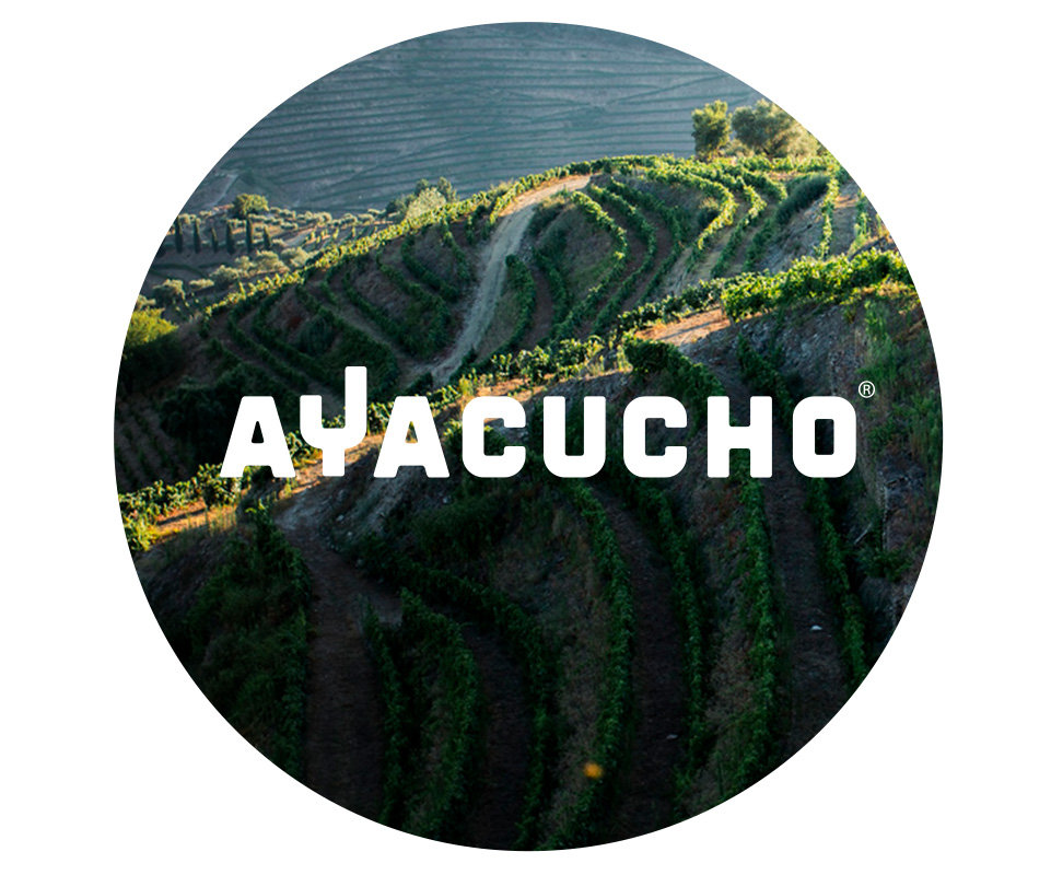 Ayacucho logo