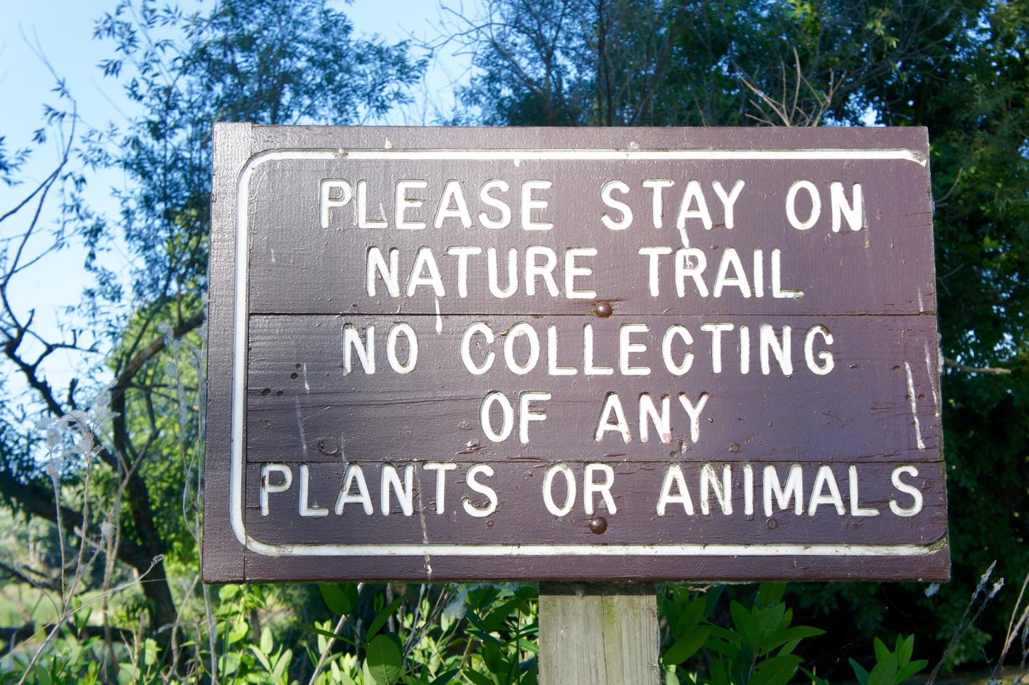 An image of Leave No Trace sign
