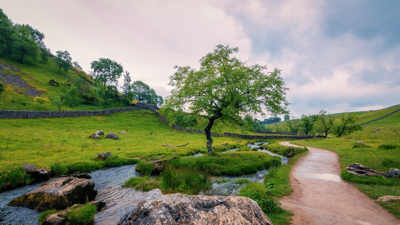 An image of the Yorkshire Dales