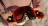 OakleyBlog_7 - 1