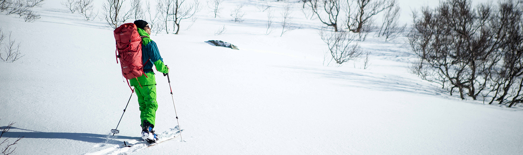 People touring the backcountry