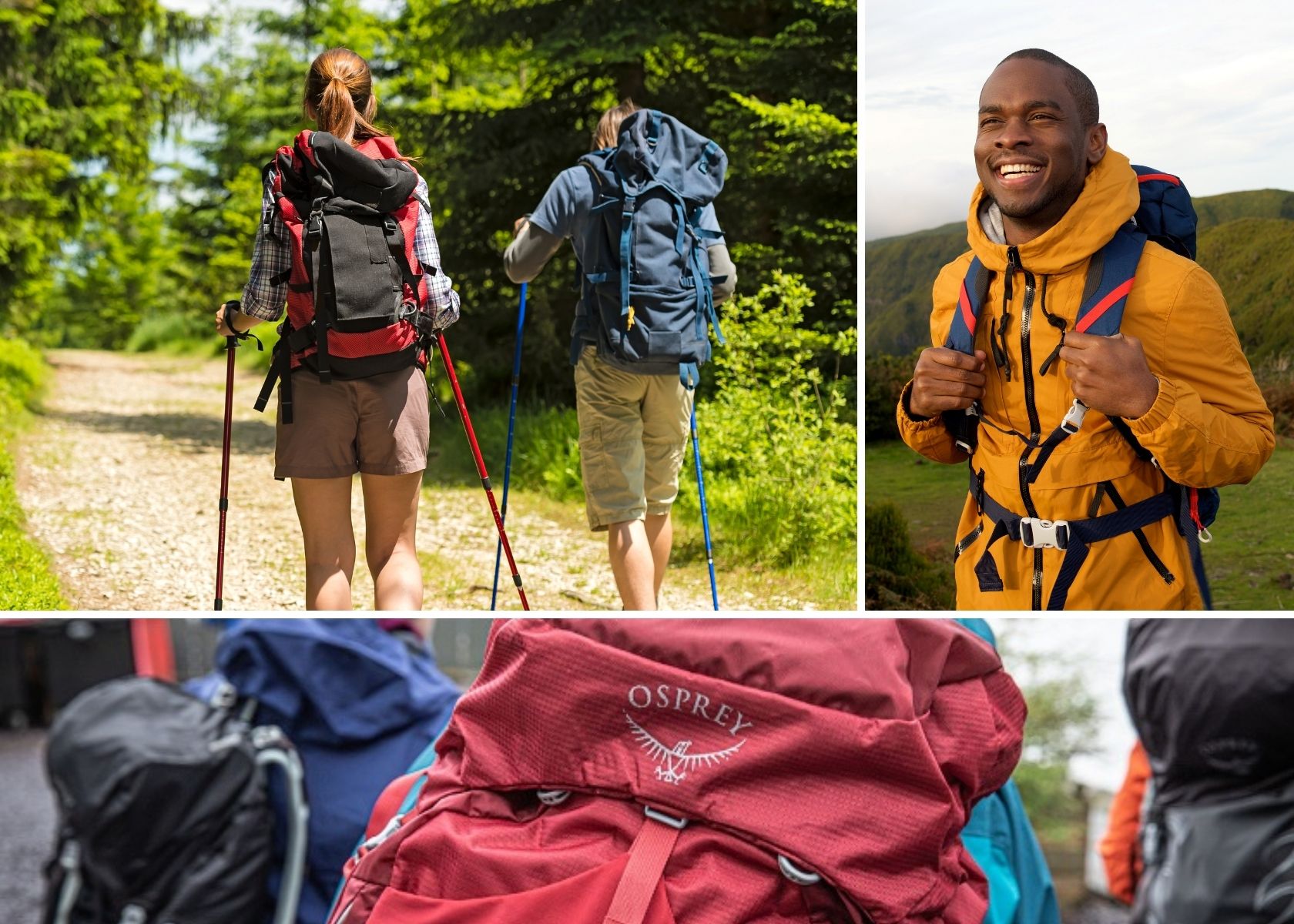 Hikers with rucksacks 