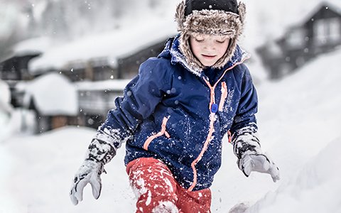 snowmobile helmet visors