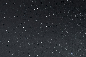 Shop snow pants black friday