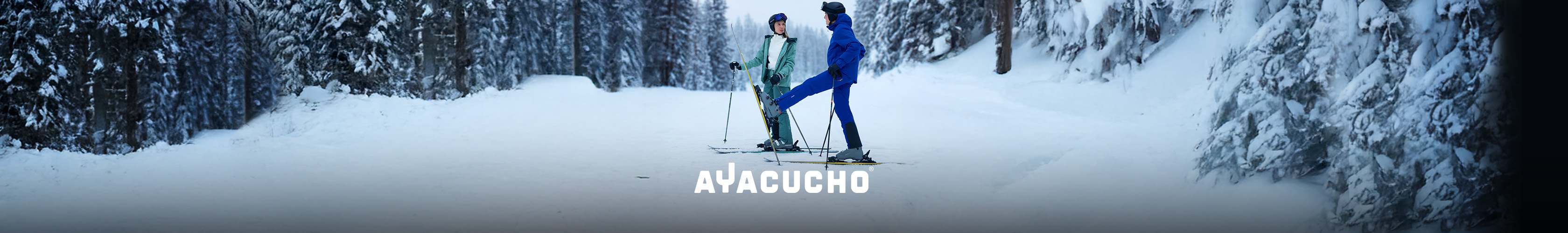 Book an appointment - a woman getting advice from in-store expert