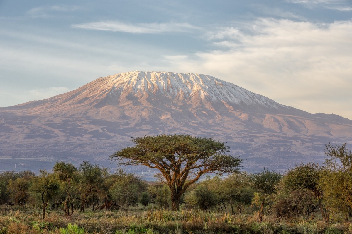Kilimanjaro in the distance 