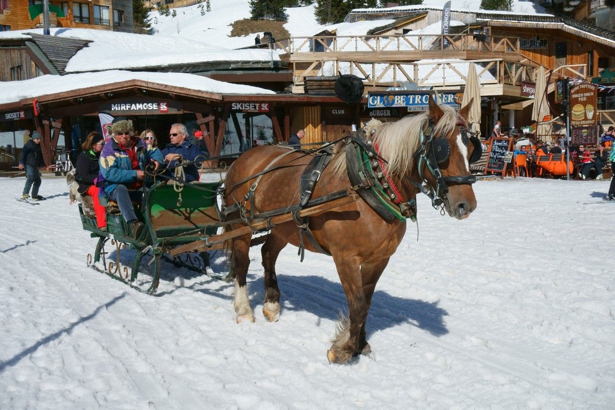 A horse drawn carriage in Avoriaz, France 