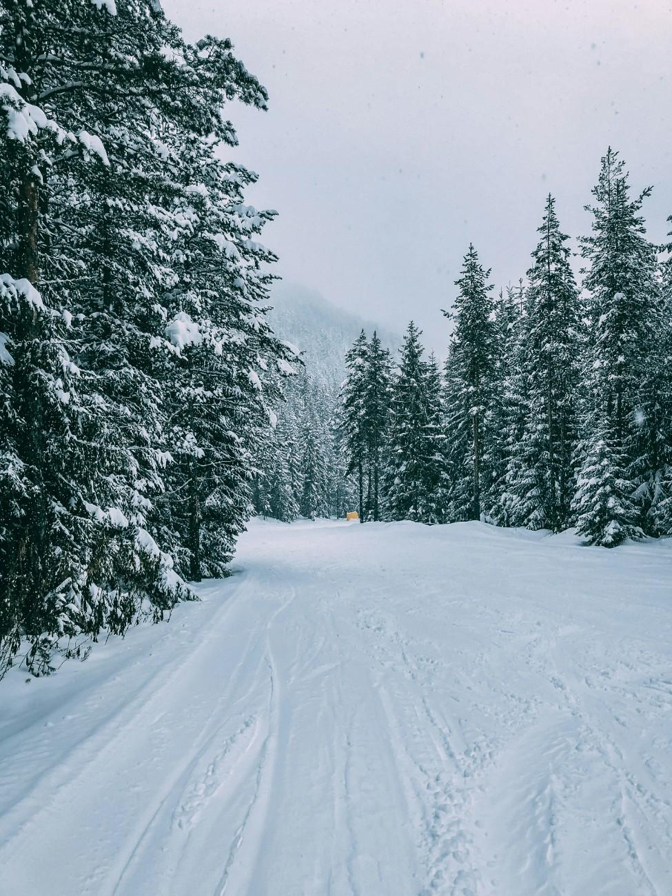 The piste in Bansko 