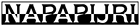 Napapijri logo